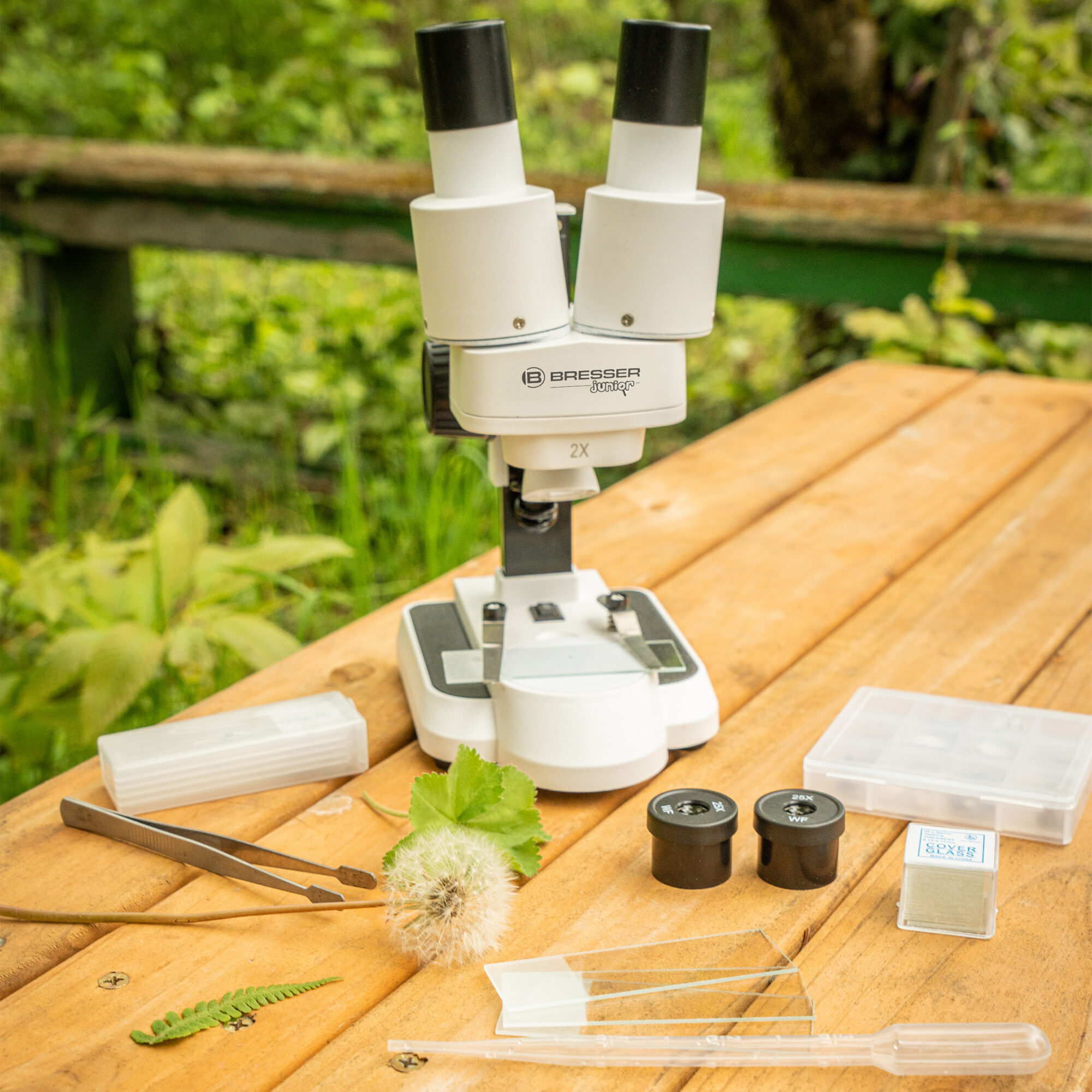 BRESSER JUNIOR Stereo Microscope 20x-50x - Image 2